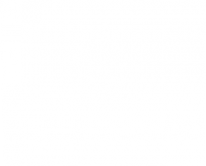 Driftwood Cafe Emsworth